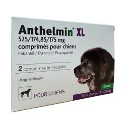 Anthelmin Xl Cpr Séc Ch B/2