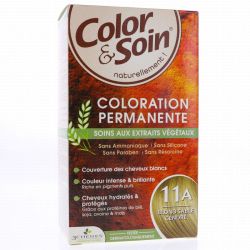 Color&Soin Kit Coloration Perm 11A Bl S