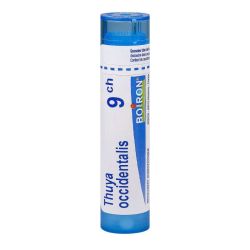 Thuya Occidental Boiron 9Ch Gran T/4G