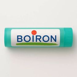 Zincum Met. Boiron 9Ch Gran T/4G