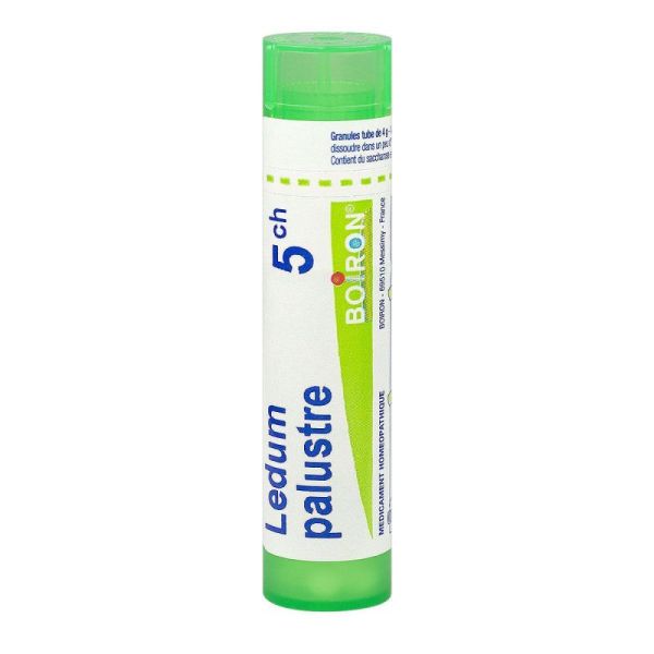 Ledum Palustre Boiron 5Ch Gran T/4G