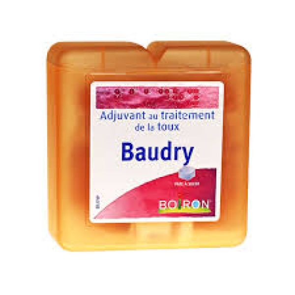 Pates Baudry Pâte Suc B/70G