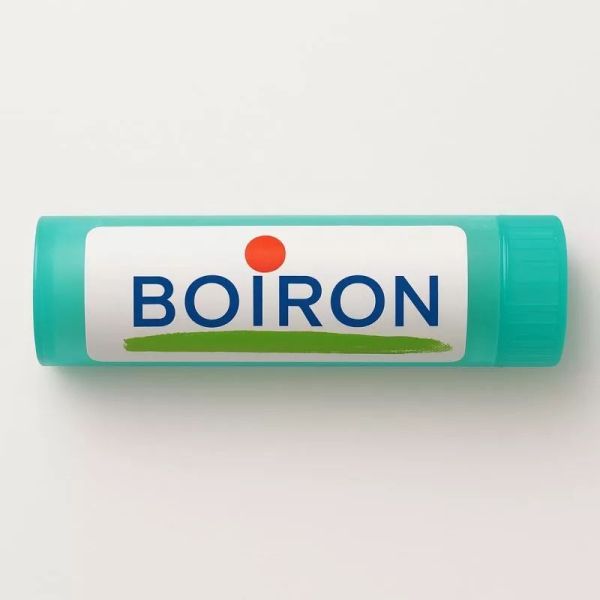 Surren(Ine/Ales) Boiron 4Ch S Buv 30A